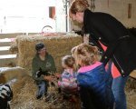 Lammetjes knuffelen op de markt